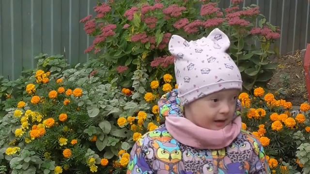 Осенняя выставка поделок смотреть онлайн