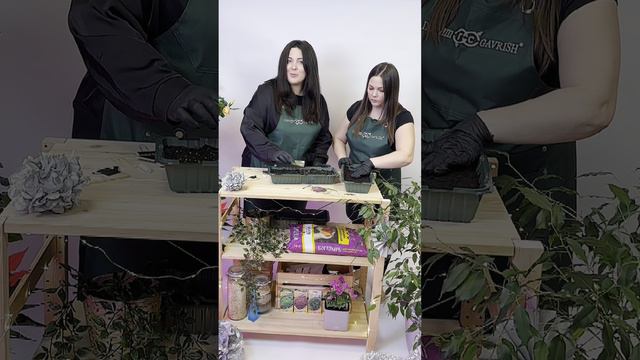 Ранний урожай зелени смотреть онлайн