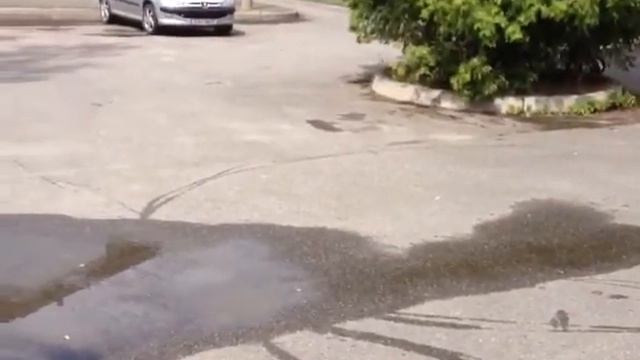 Велобег смотреть онлайн