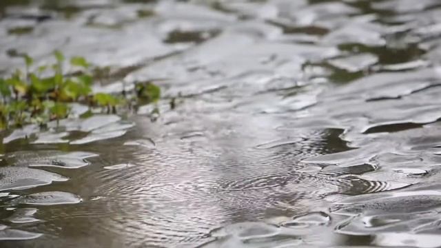 Вальс дождя Фредерик Шопен. Rain Waltz. смотреть онлайн