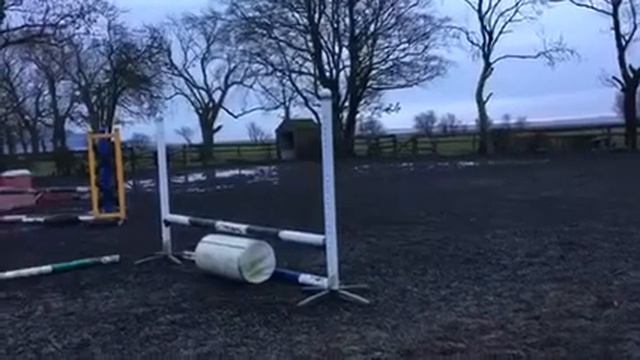 Oliver jumping смотреть онлайн