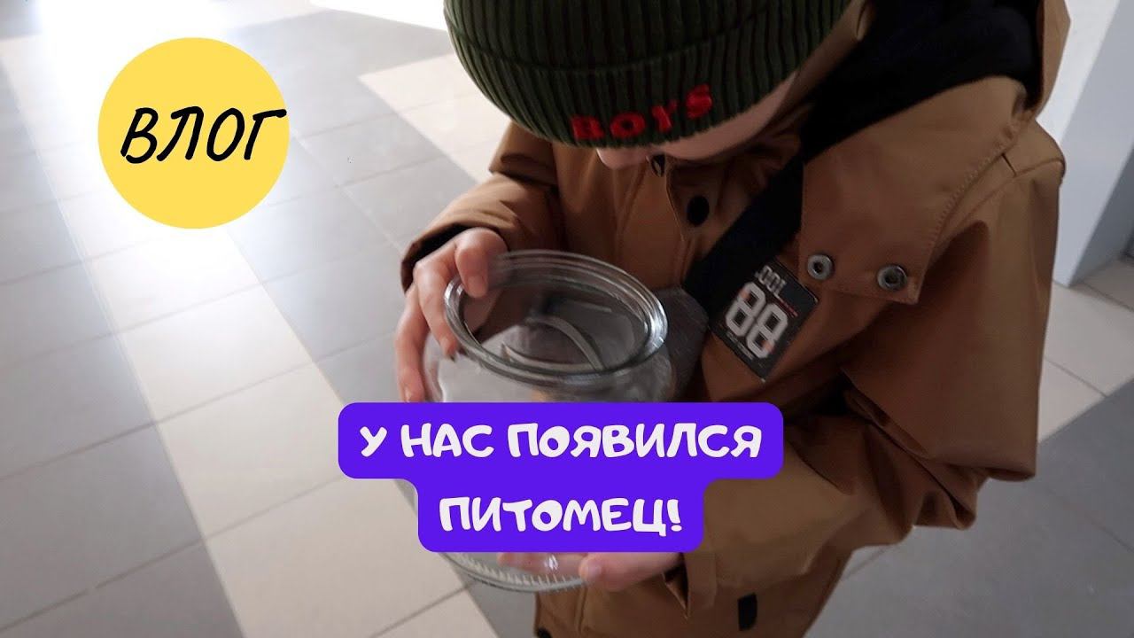 У НАС ПОЯВИЛСЯ ПИТОМЕЦ / В ПОИСКАХ ВСЕГО НЕОБХОДИМОГО смотреть онлайн