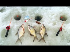 ЗИМНЯЯ РЫБАЛКА на ЛЕЩА 2022 р.Гжать (Ярыгино).