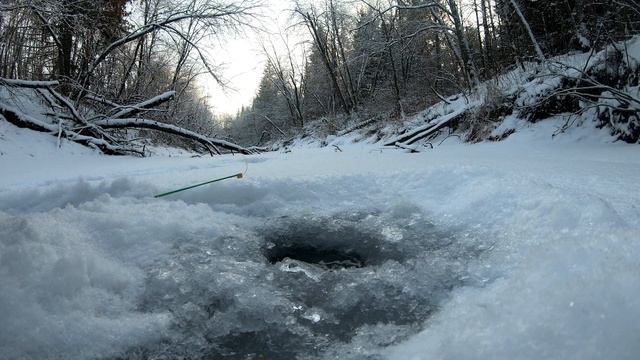 Ловля хариуса в мороз. смотреть онлайн