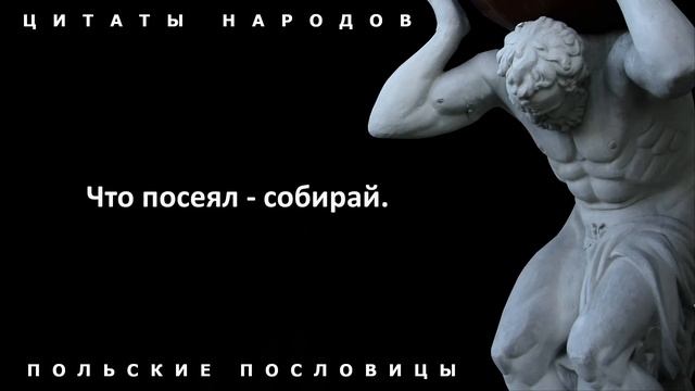 Польские пословицы и поговорки, в Которых Каждое Слово Пропитано Мудростью! Часть 2. Цитаты народов смотреть онлайн