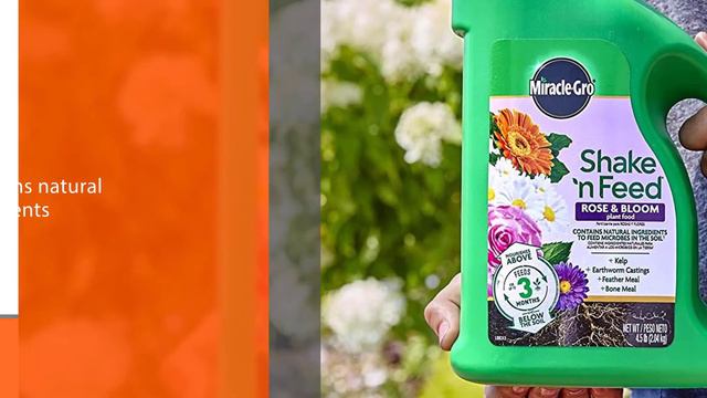 Top 5 Best Fertilizers For Knockout Roses Review In 2024