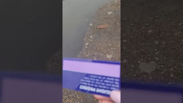 Мудрые советы для родителей-наставников