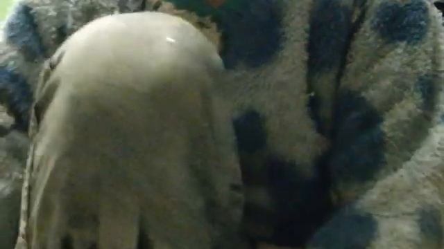 топ 5  самых  вкусных  блюд  во  всём  мире