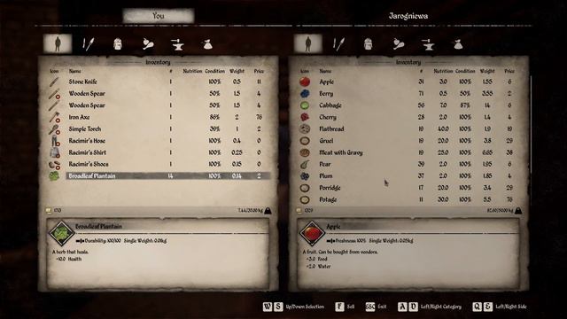 Medieval Dynasty - Opdatering og en alm. dag i efteråret - Dansk Lets Play - Ep 24 смотреть онлайн