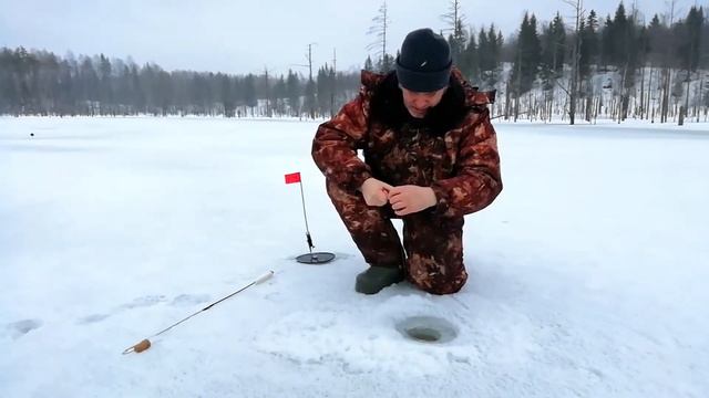 Карельские щуки весной. Хроника одного дня. смотреть онлайн
