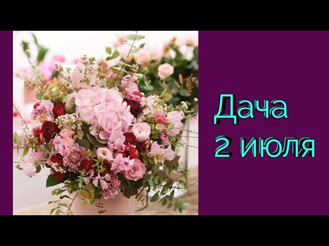 Дача 2 июля.Покажу свой огород.Стройка.Средство для пышного цветения роз. смотреть онлайн