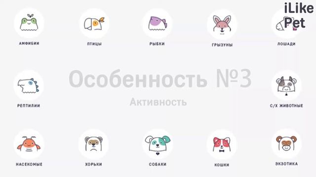 4 особенности характера добермана смотреть онлайн