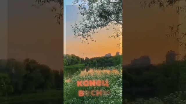 ураа,скоро весна) #весна #врекомендаци #pechenka #cookie #pechenks смотреть онлайн