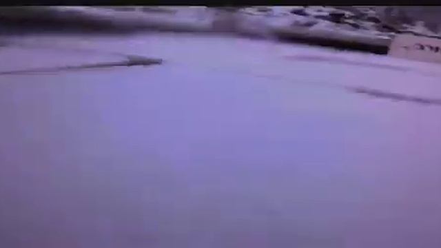 Ищу карпов в моем пруду. смотреть онлайн