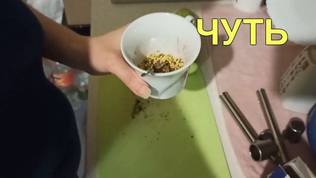 Чем я кормлю птенцов ВВП чехи!Разведение попугаев! смотреть онлайн