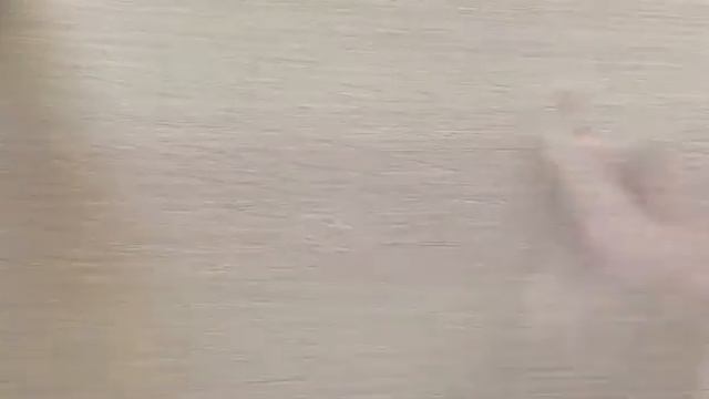 Убираем скол на столешнице БЫСТРО и ПРОСТО смотреть онлайн