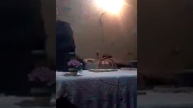 Pregação Ailton Andrade(2) смотреть онлайн