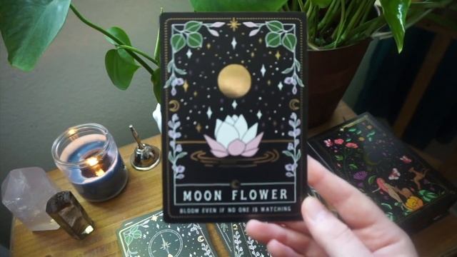 Moon Witch Oracle ? Cosmic Valeria Unboxing ??? смотреть онлайн