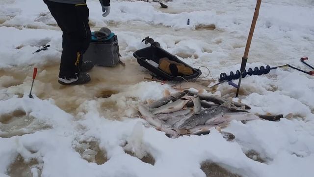 Зимняя рыбалка на Северной Сосьве смотреть онлайн