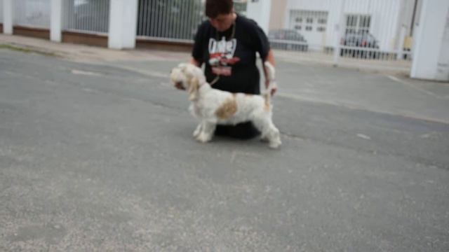 Akin after grooming :) 26.05.2016 смотреть онлайн