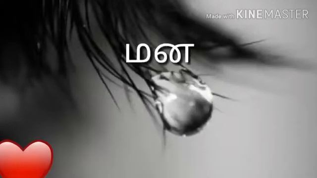 Whatsapp Statuses(81)