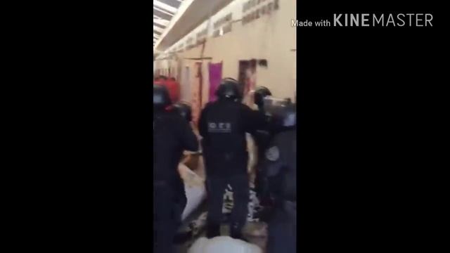 Guerreiros do GTI  retirando preso com carinho. смотреть онлайн