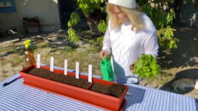 Строительный Челлендж