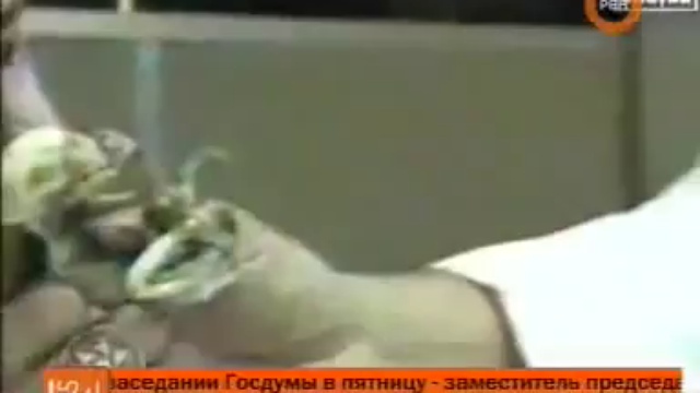 Нефилим загадочное сушество похоже на человека! смотреть онлайн