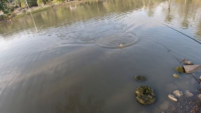 рыбалка в Израиле