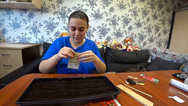 Рассада для дачи, обзор семян, посадка земляники и перца смотреть онлайн