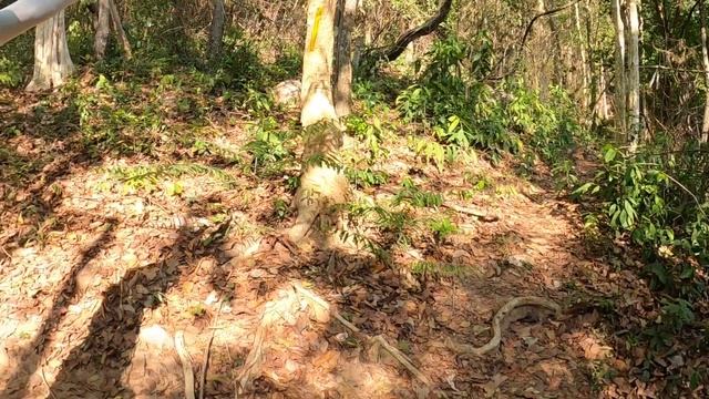 Ari Running Review EP.19 | รีวิว รองเท้าวิ่ง Nike Air Zoom Terra Kiger 7 смотреть онлайн