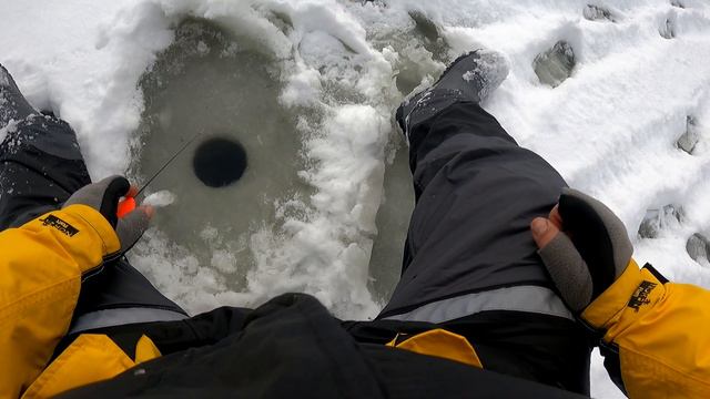 Наш щенок Джесси впервые на рыбалке смотреть онлайн