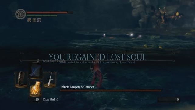 Let's Play: Dark Souls: PTDE [PC] Episode 16 - Kalameet! [DLC] смотреть онлайн