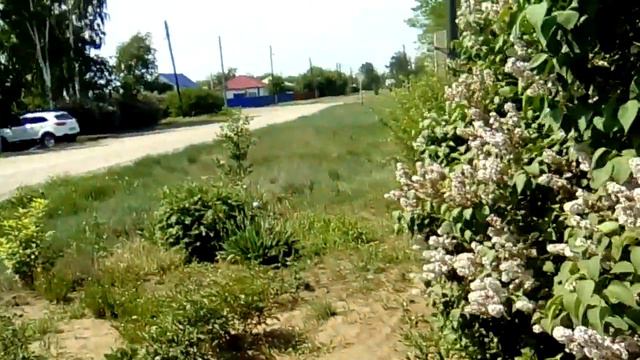 Чё делаю ( моя усадьба ) . смотреть онлайн