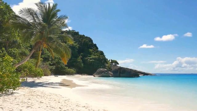 Ocean Wave Sounds With Relaxing Music,  Calm Music, Stress Relief, Deep Sleep Music