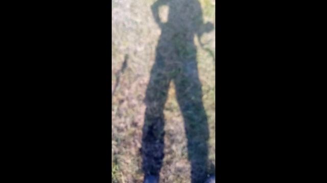 В поисках антики!