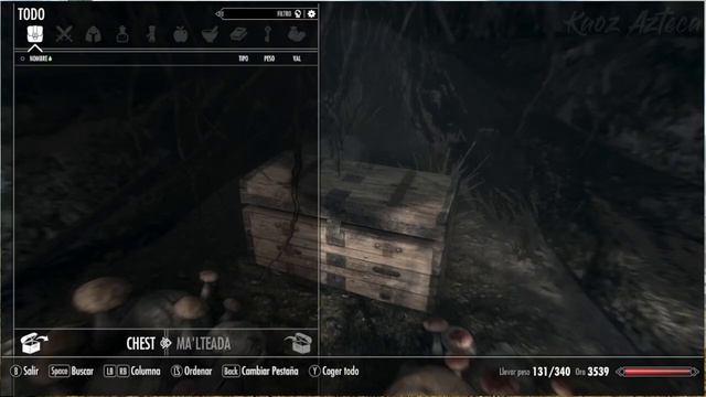 The Elder Scrolls V: Skyrim - Serie Avatar: Maestra Fuego - Parte 10 смотреть онлайн