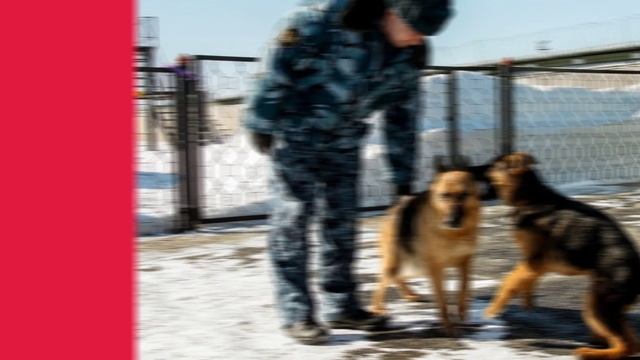 #КартинаДня смотреть онлайн