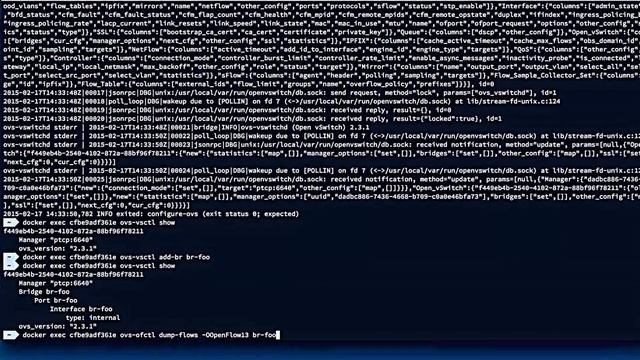 Open vSwitch on Dockers смотреть онлайн