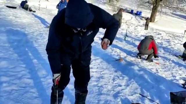 Спорт зона онлайн смотреть онлайн