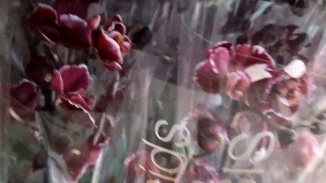 НОВЫЕ ПОСТУПЛЕНИЯ В 