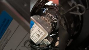 Skoda superb 2 рест, замена ламп биксенон, чистка линзы.