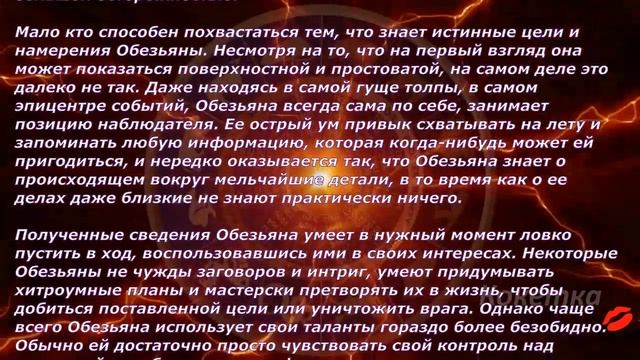 Обезьяна-характеристика(Китайский гороскоп) смотреть онлайн