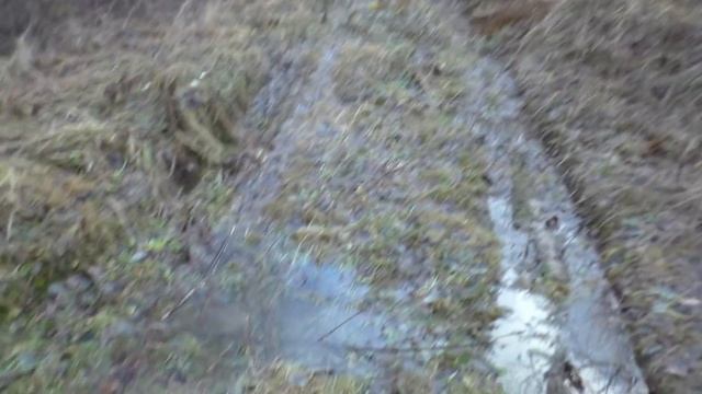 В ДЕКАБРЕ ПРИШЛА ВЕСНА +9 ГРАДУСОВ! И ОПЯТЬ ПОЛНО ГРИБОВ! Снег весь растаял! смотреть онлайн