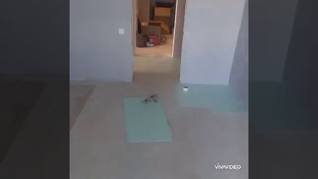 Укладка ламината 40 м2 смотреть онлайн