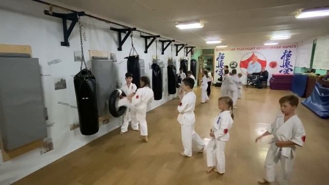 Средняя группа 25 октября 2023 года. Киокусинкай каратэ в Климовске на Западной 12. смотреть онлайн