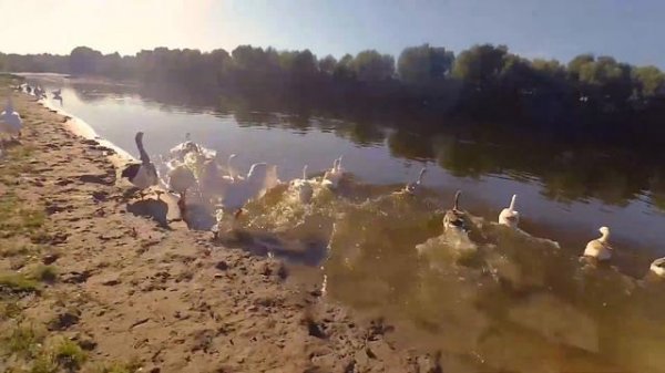 Поездка в Новгород-Северский