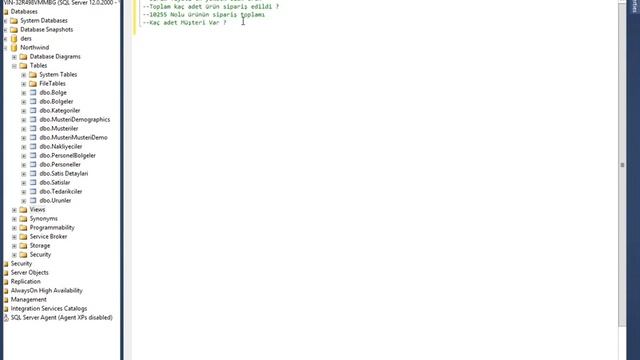 SQL Server Sınıf Örnekler смотреть онлайн