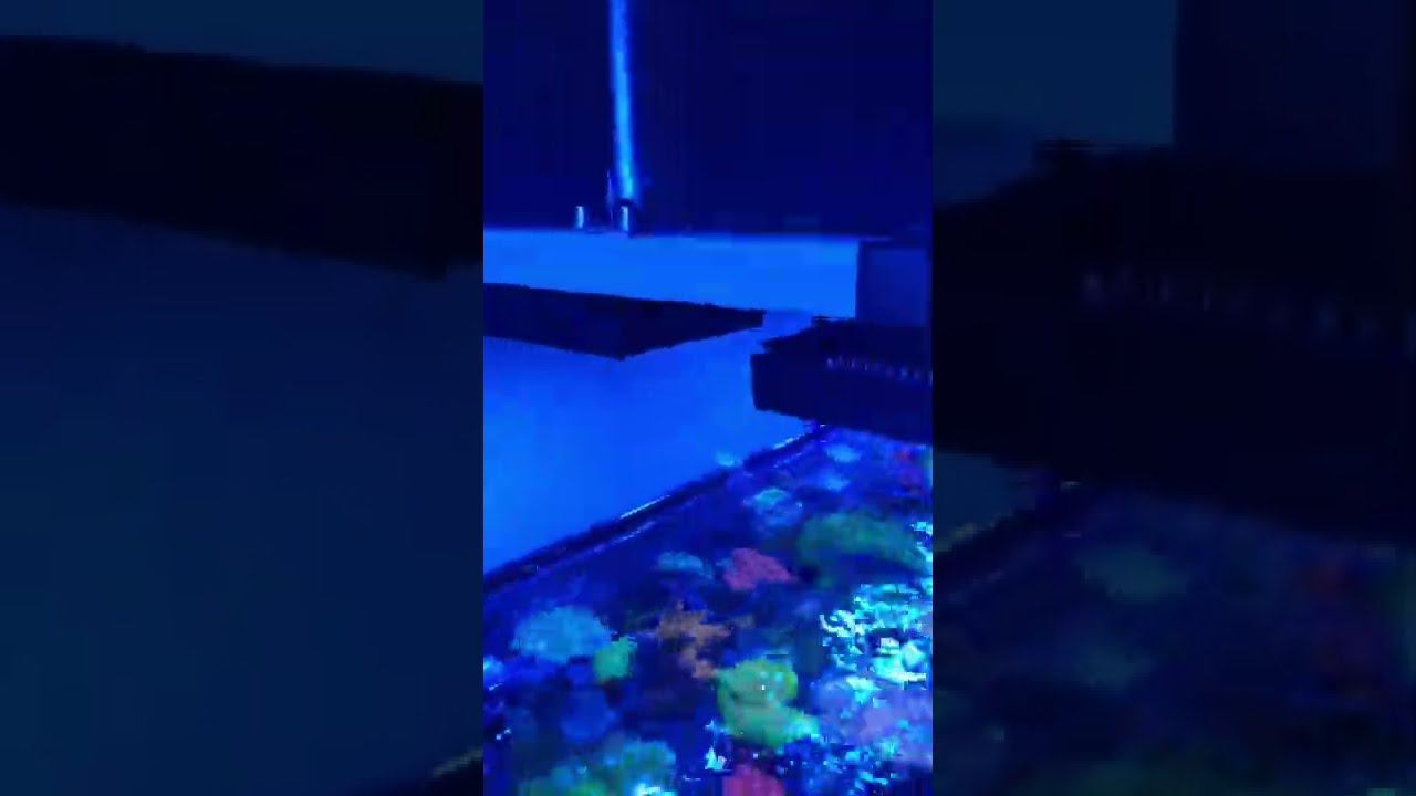Подъёмник на линейных актуаторах смотреть онлайн