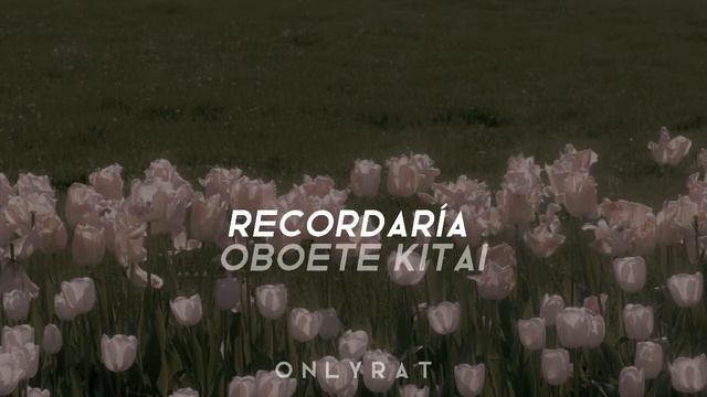 La Intro De Los Cuentos De Los Hermanos Grimm - ꒰ Letra En Español + Romaji ꒱